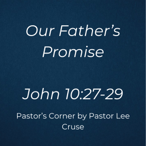 The Lord is telling us of His promise to us. If we will come to Him and follow Him, He promises us we shall never perish and that no one or anything can take us out of His hand. This is our Heavenly Father’s promise. 